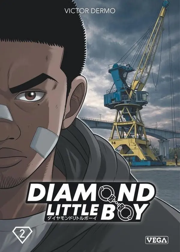 Couverture de l'album Diamond little boy 2