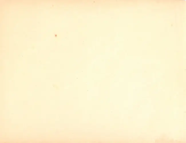 Verso de l'album Blondin et Cirage Tome 1 Blondin et Cirage en Amérique