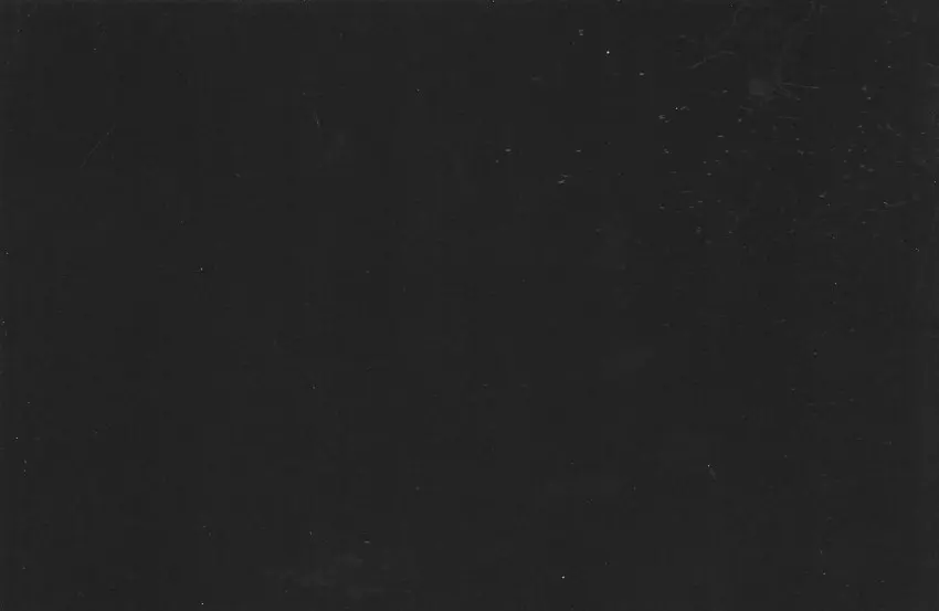 Verso de l'album La Madone des Codes-Barres