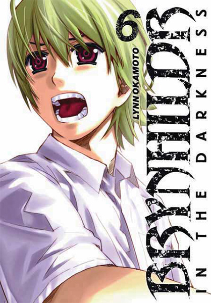 Couverture de l'album Brynhildr in the Darkness 6