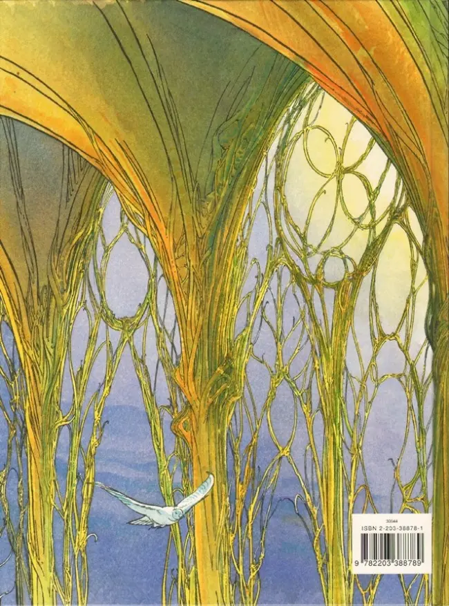 Verso de l'album Face de lune Tome 2 La pierre de faîte