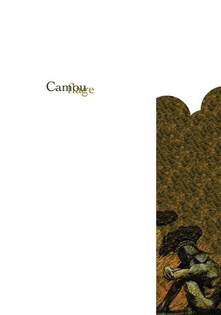 Couverture de l'album Camouflage