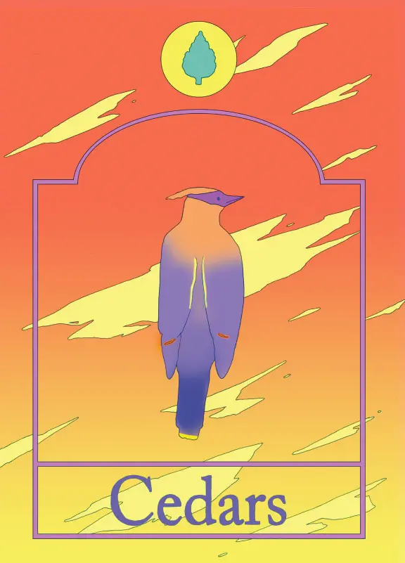 Couverture de l'album Cedars