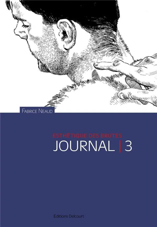 Couverture de l'album Journal 3