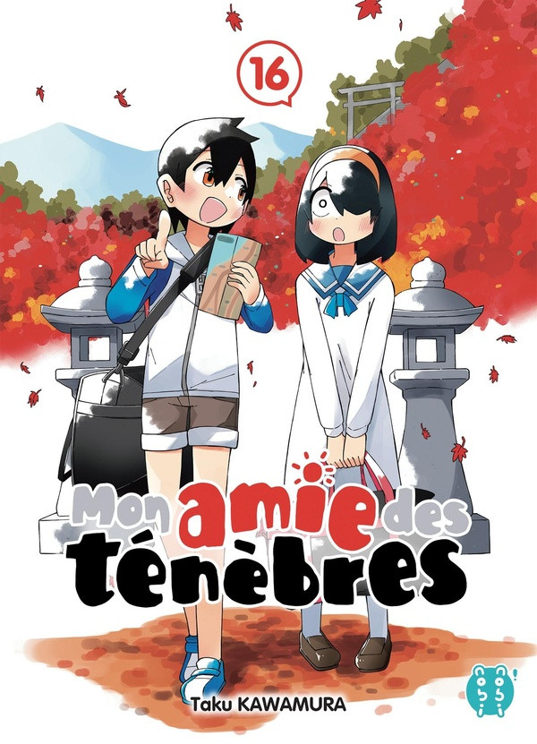 Couverture de l'album Mon amie des ténèbres 16