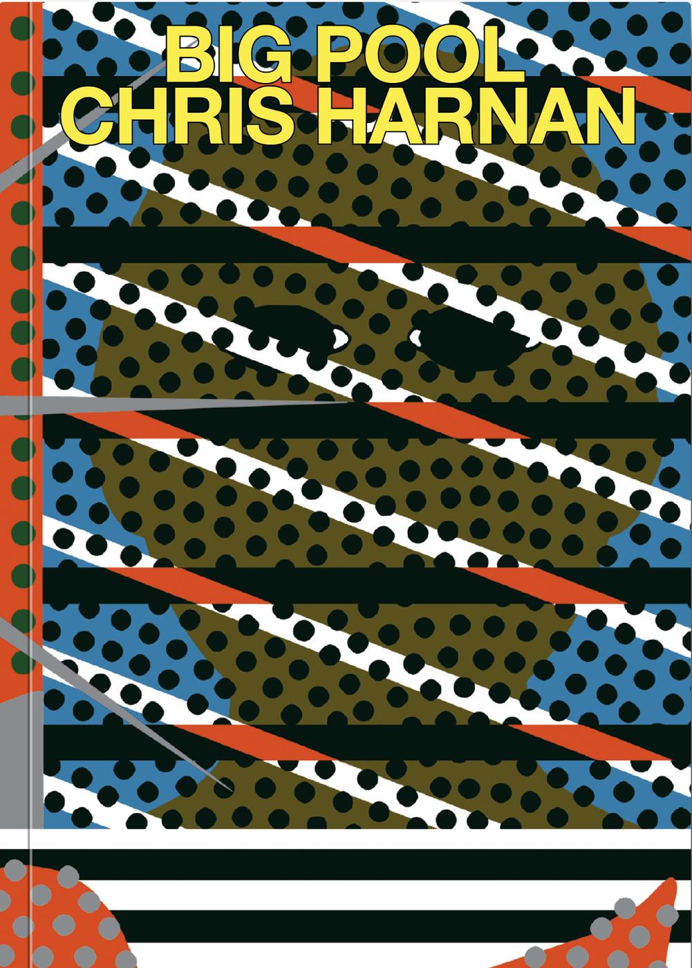 Couverture de l'album Big Pool