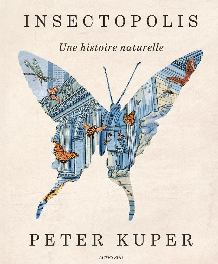 Couverture de l'album Insectopolis Une histoire naturelle