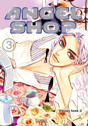 Couverture de l'album Angel Shop 3