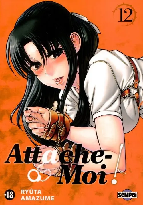 Couverture de l'album Attache-moi ! 12