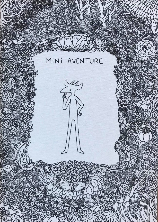 Couverture de l'album Mini aventure