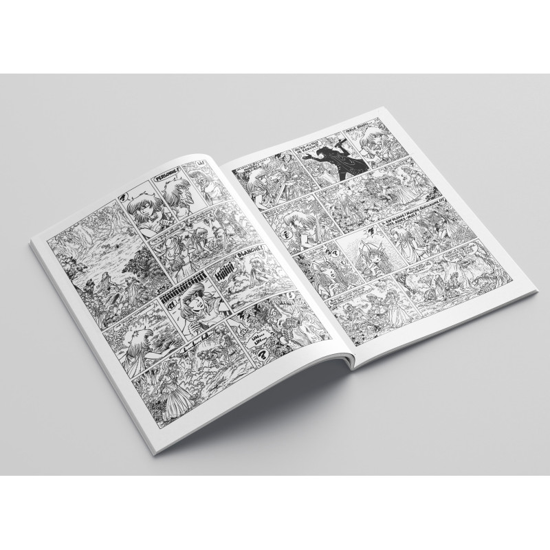 Planche de l'album Percevan Tome 18 Les miroirs du ciel