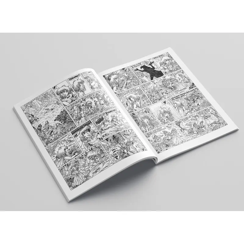 Planche de l'album Percevan Tome 18 Les miroirs du ciel