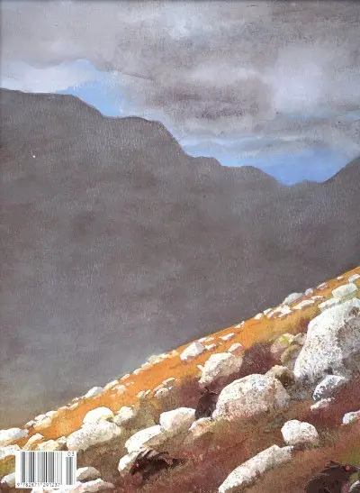 Verso de l'album Complainte des Landes perdues Sioban Tome 3 Dame Gerfaut