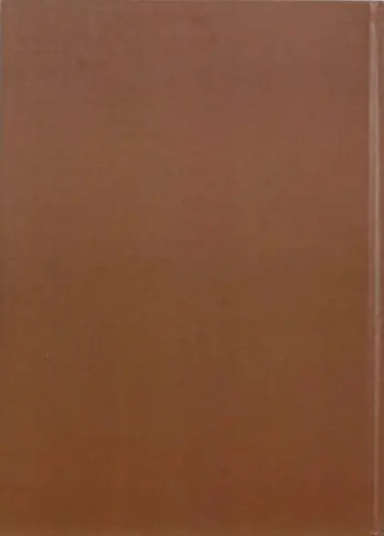 Verso de l'album Luka Tome 2 La peur est la couleur de la mort