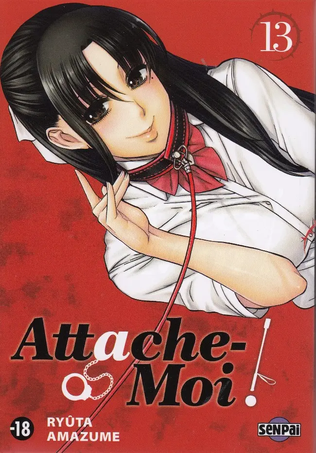 Couverture de l'album Attache-moi ! 13