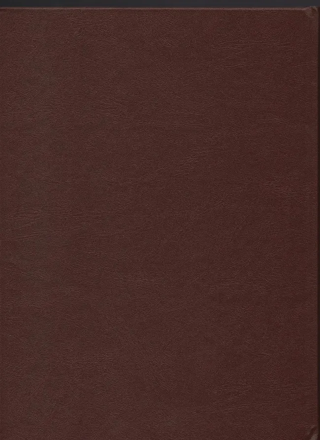 Verso de l'album Les Tuniques Bleues Intégrale Rombaldi Volume 12 Émeutes à New York - Requiem pour un bleu - Les Nancy Hart - Arabesque