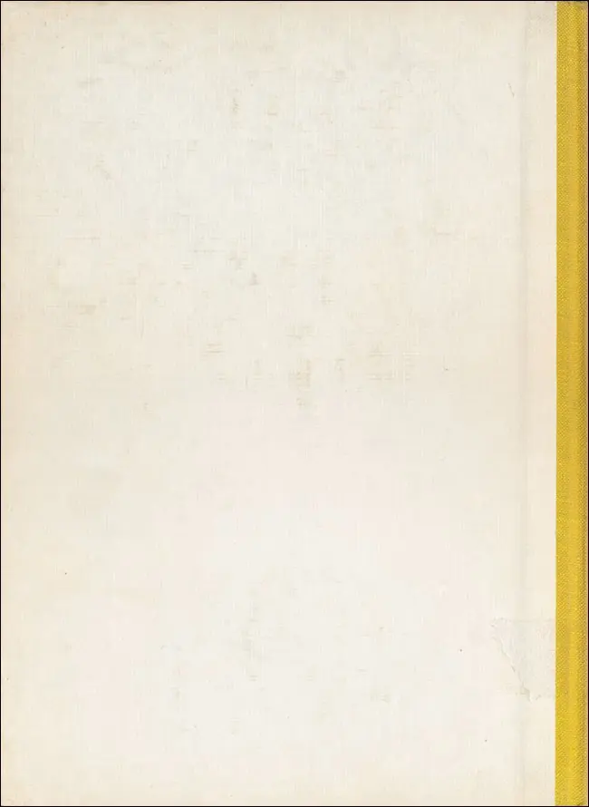 Verso de l'album Bécassine Tome 6 Bécassine chez les Turcs