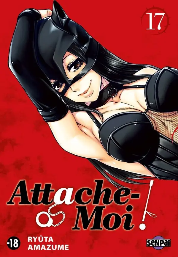 Couverture de l'album Attache-moi ! 17