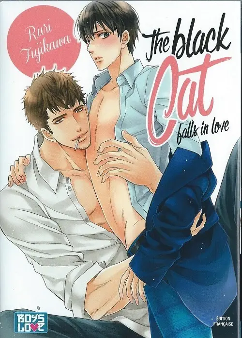 Couverture de l'album The Black Cat falls in love
