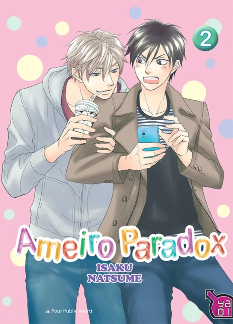 Couverture de l'album Ameiro Paradox 2