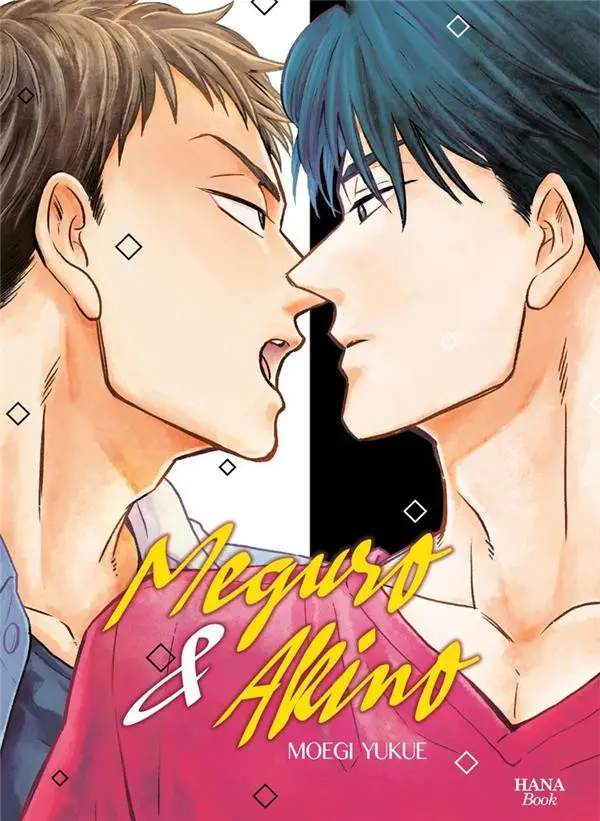 Couverture de l'album Meguro & Akino