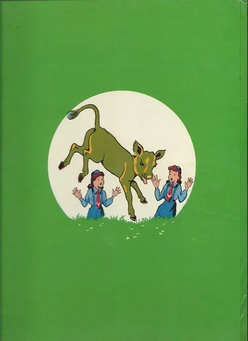 Verso de l'album Bécassine Tome 17 Bécassine fait du scoutisme