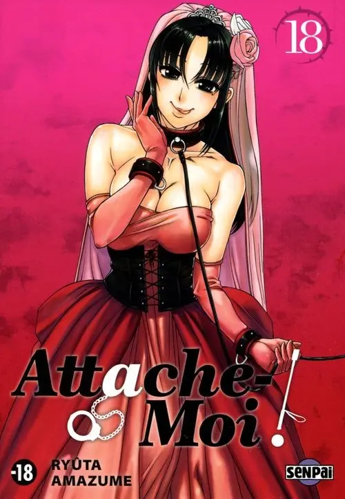 Couverture de l'album Attache-moi ! 18