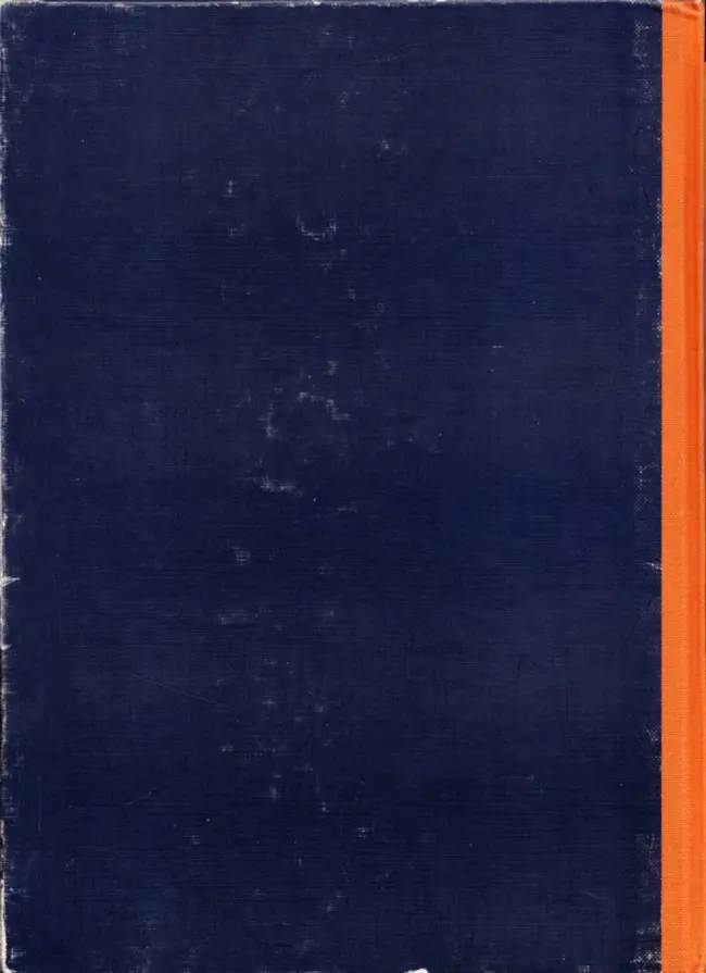 Verso de l'album Bécassine Tome 17 Bécassine fait du scoutisme