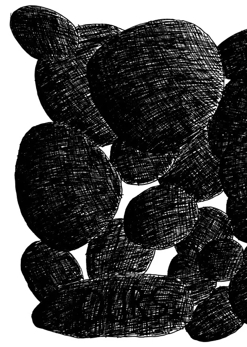 Verso de l'album Le, l'Homme N° 1