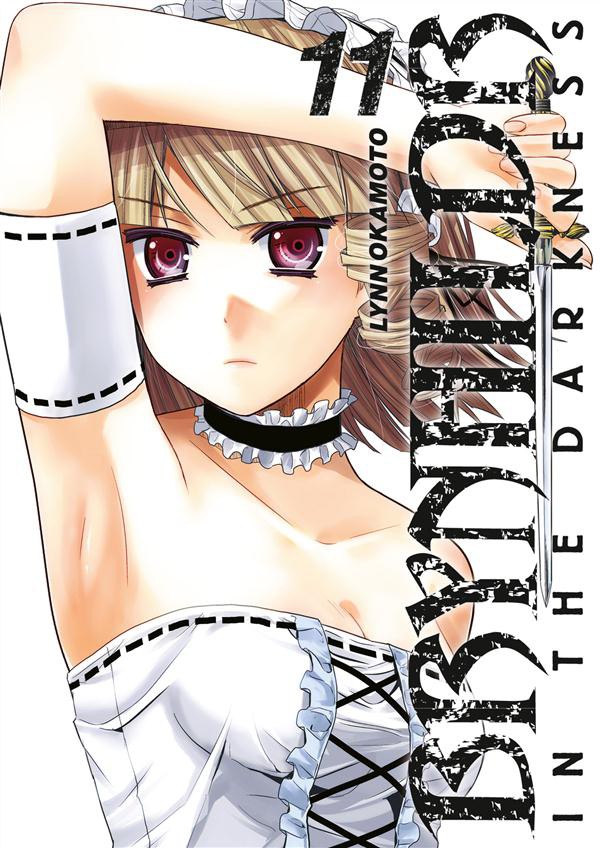 Couverture de l'album Brynhildr in the Darkness 11