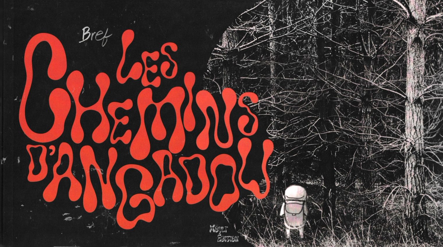 Couverture de l'album Les chemins d'Angadou