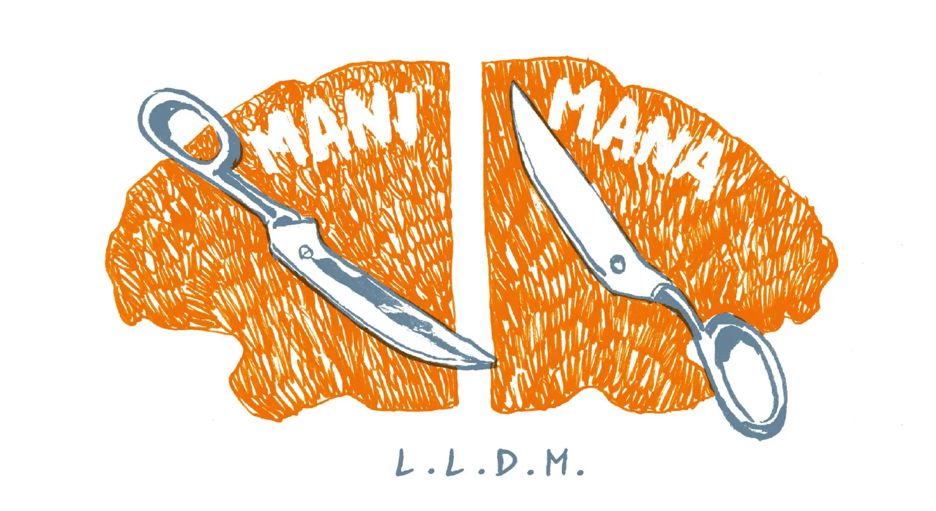 Couverture de l'album Mani Mana