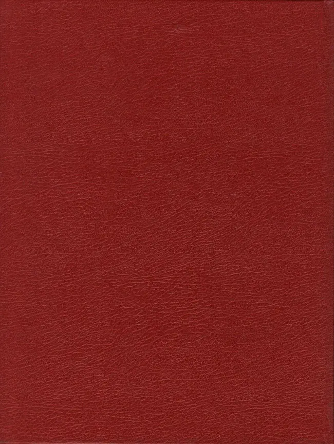Verso de l'album Iznogoud Tome 16 Iznogoud et les femmes