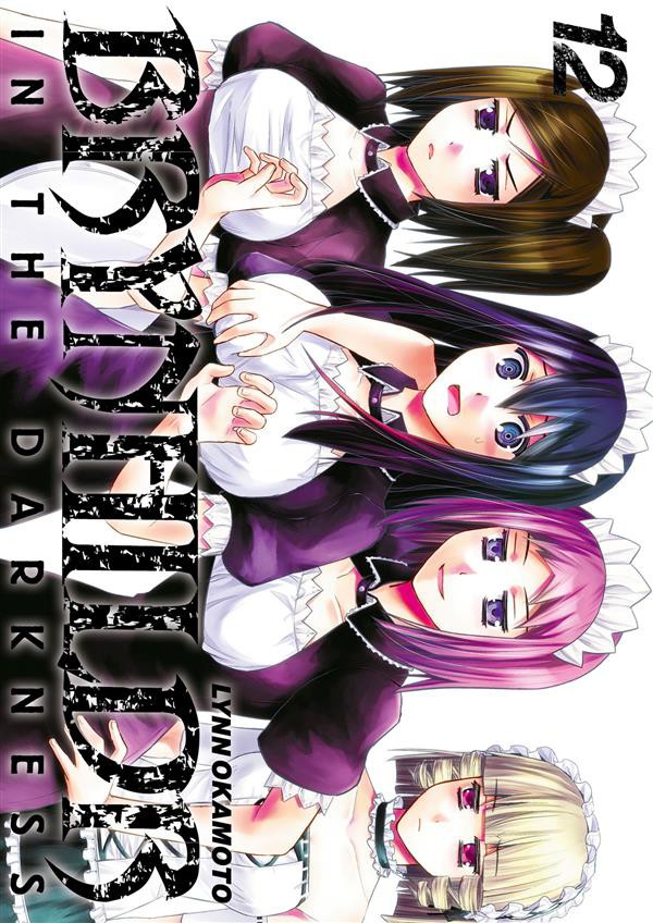 Couverture de l'album Brynhildr in the Darkness 12