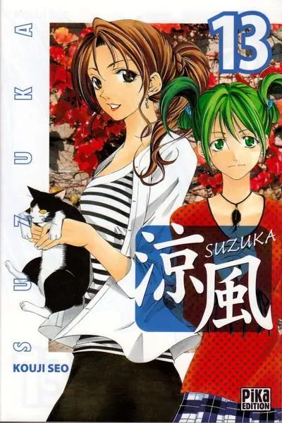 Couverture de l'album Suzuka 13