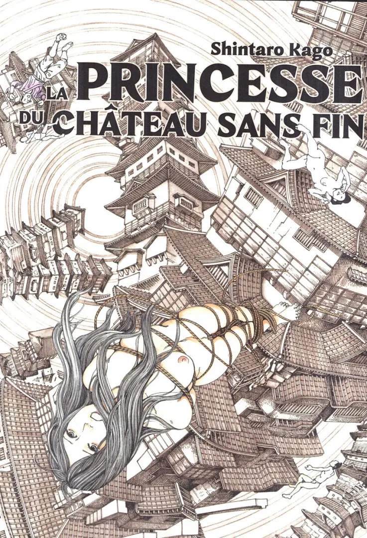 Couverture de l'album La princesse du château sans fin