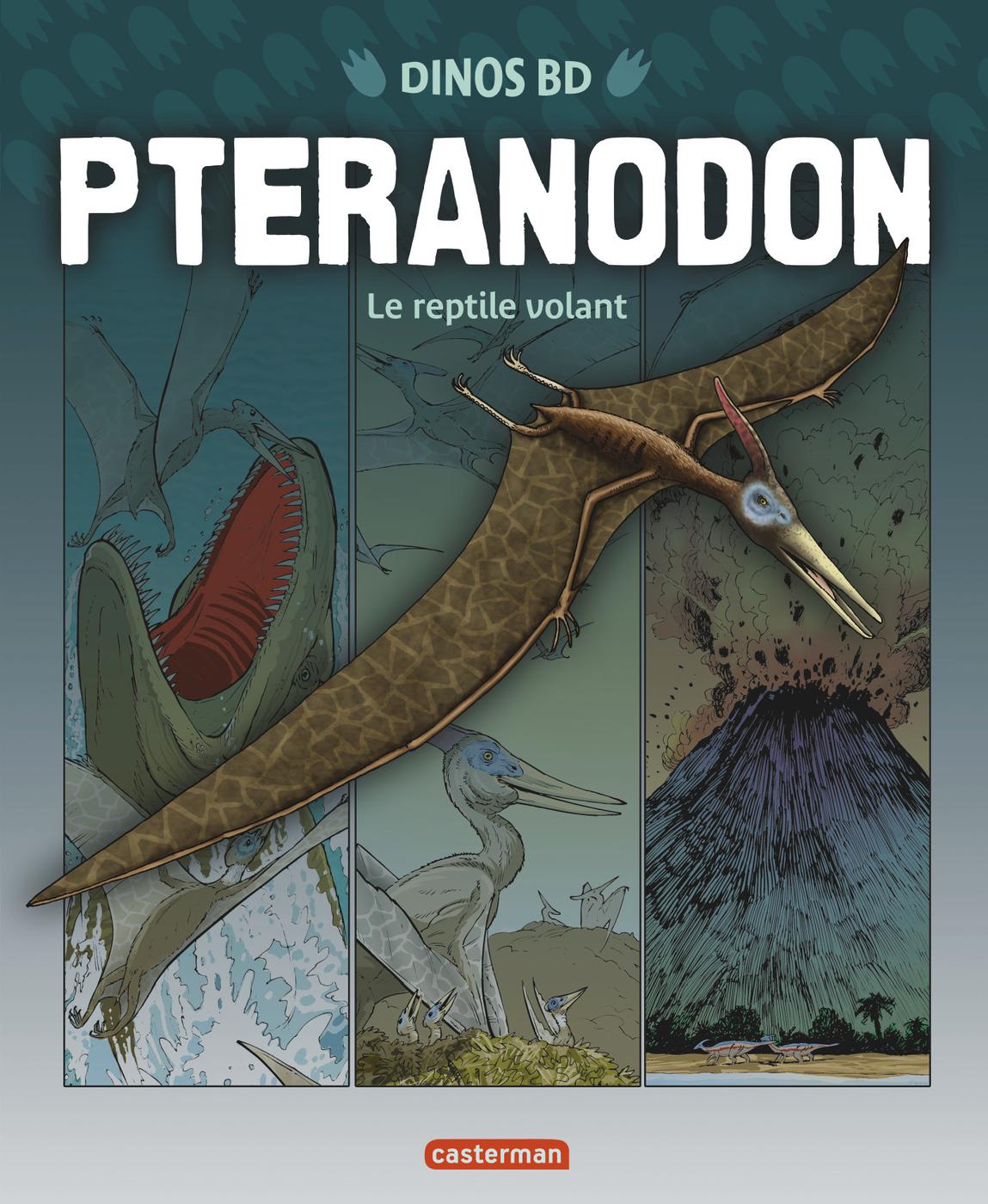 Couverture de l'album Dinos BD 6 Pteranodon - Le reptile volant