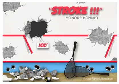 Couverture de l'album Stroke !!!