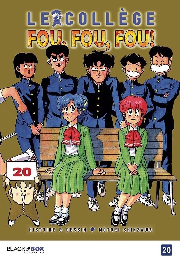 Couverture de l'album Le Collège fou, fou, fou ! 20