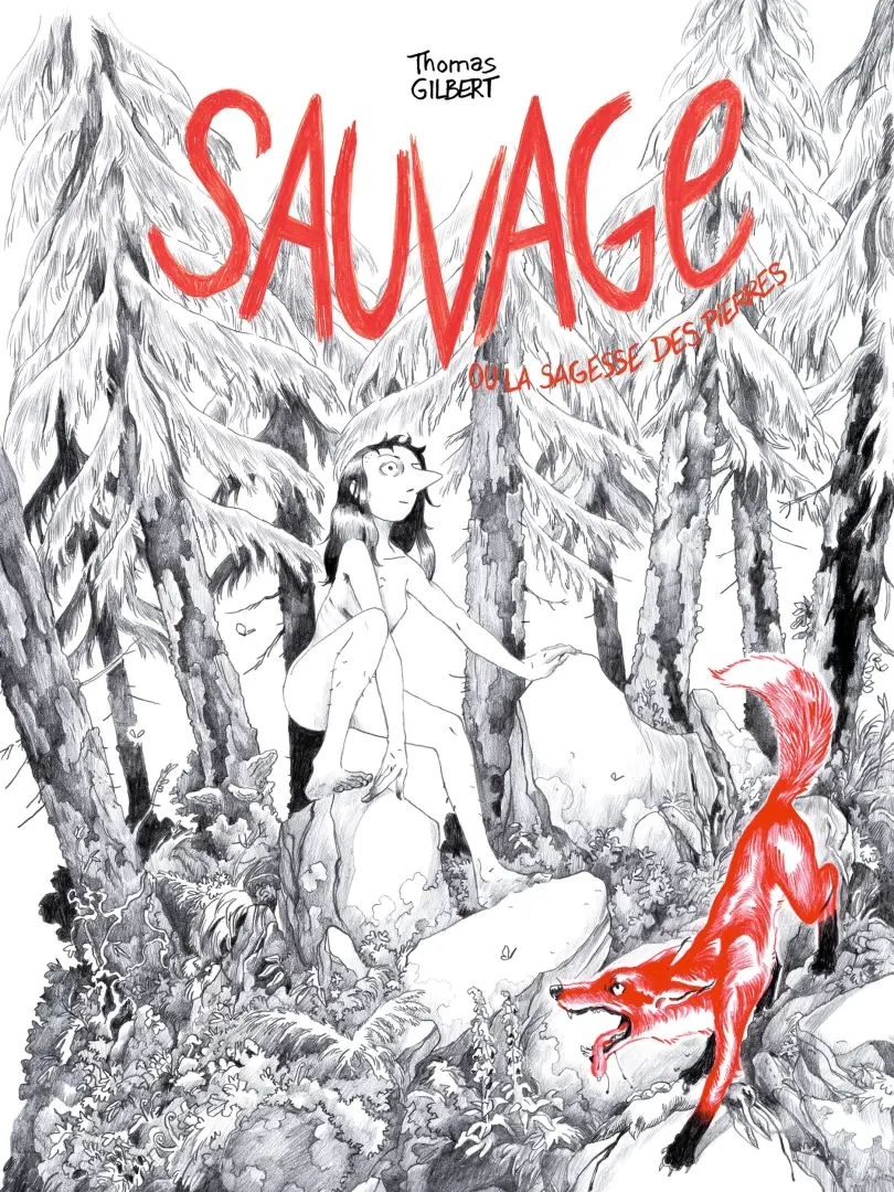 Couverture de l'album Sauvage ou la sagesse des pierres