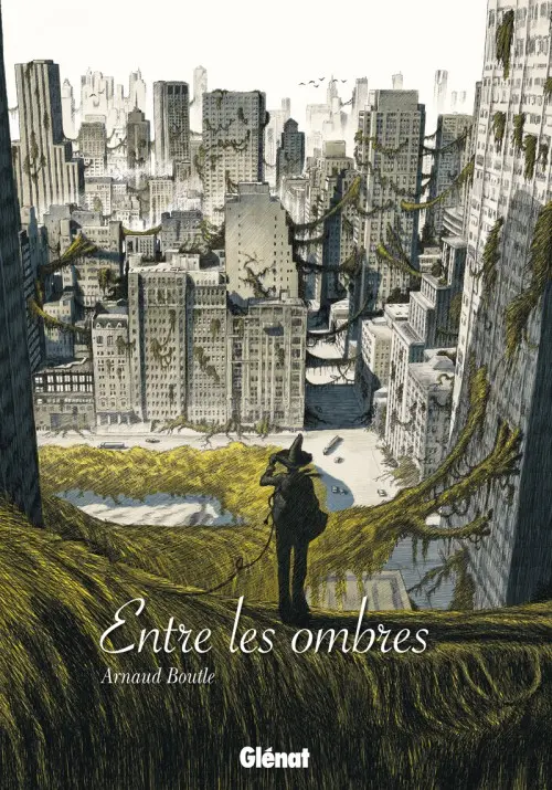 Couverture de l'album Entre les ombres