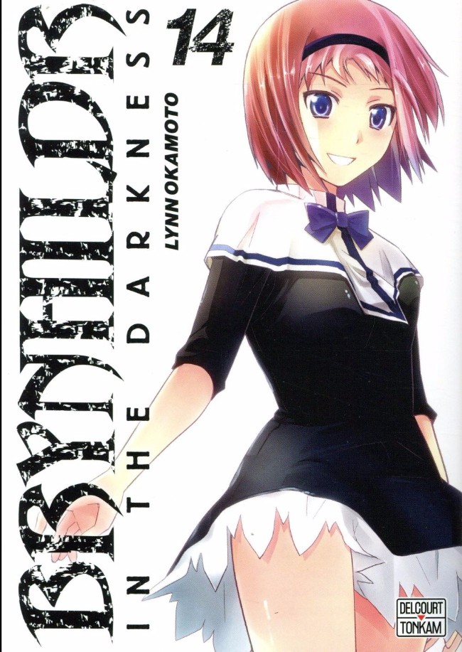 Couverture de l'album Brynhildr in the Darkness 14