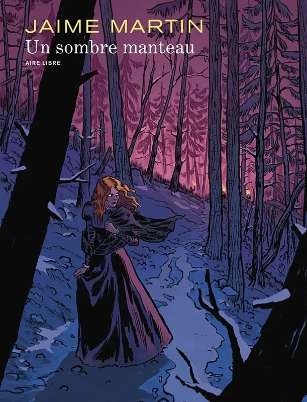 Couverture de l'album Un sombre manteau