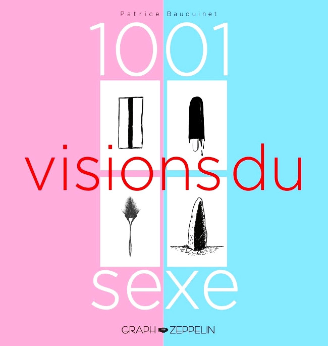 Couverture de l'album 1001 visions du sexe