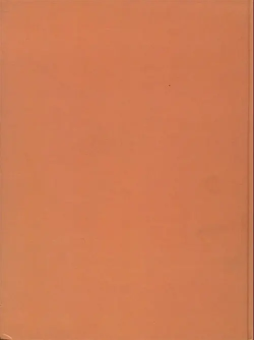 Verso de l'album Celtil Tome 1