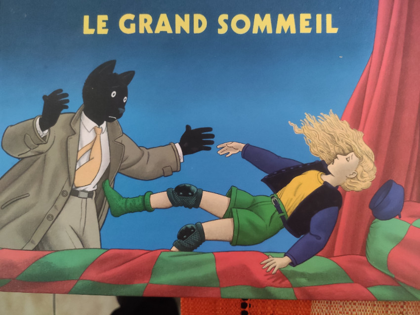 Couverture de l'album Le grand sommeil