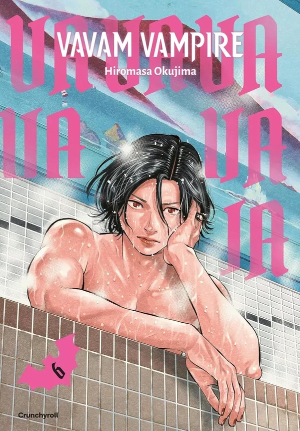 Couverture de l'album Vavam Vampire 6