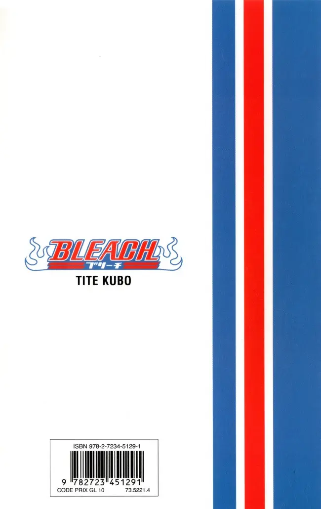 Verso de l'album Bleach Tome 11 A star and a stray dog