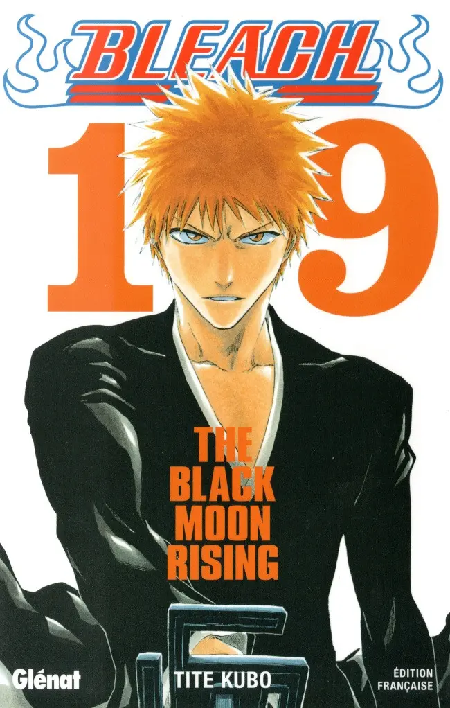 Couverture de l'album Bleach Tome 19 The Black Moon Rising