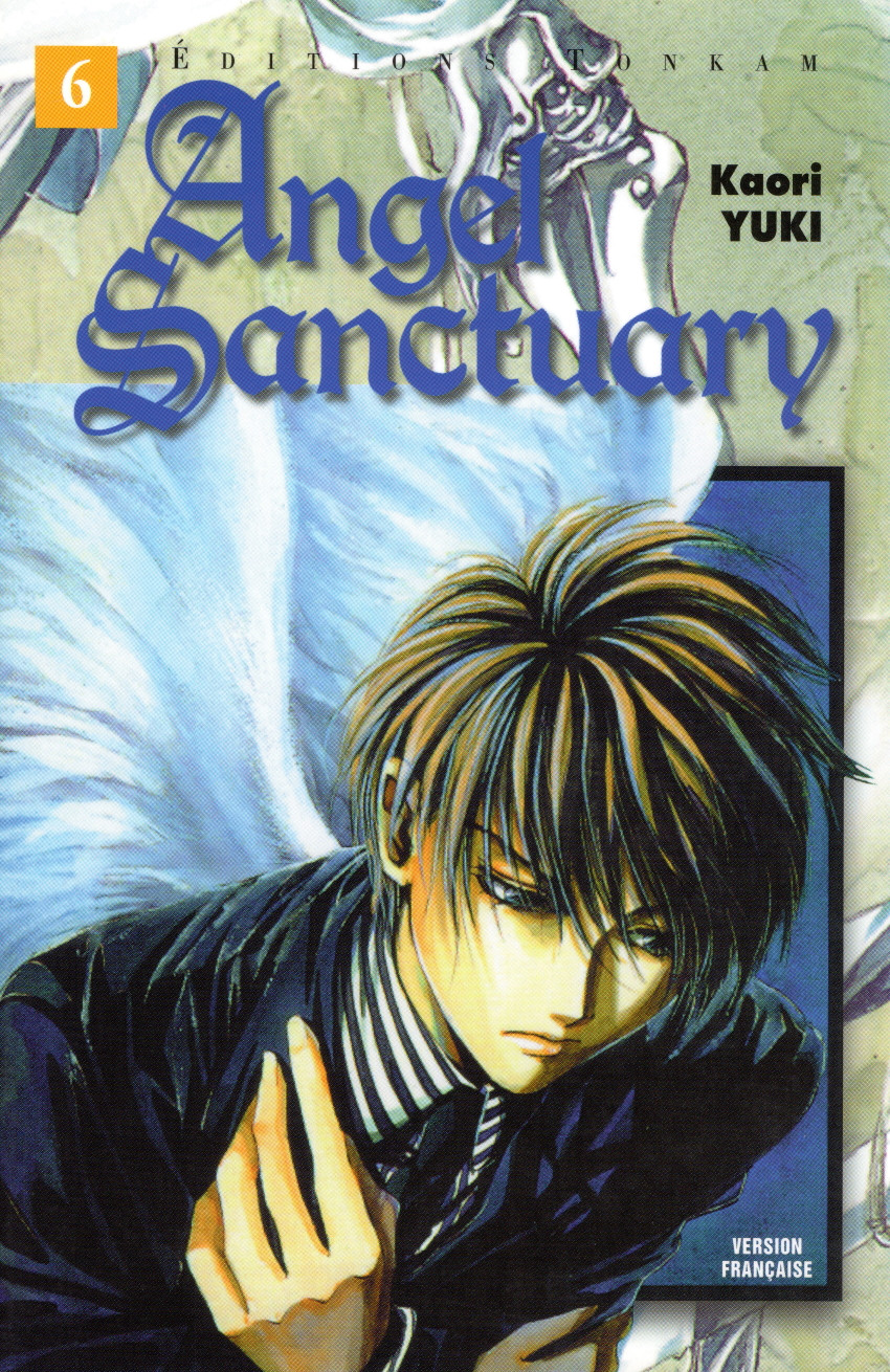 Couverture de l'album Angel Sanctuary 6